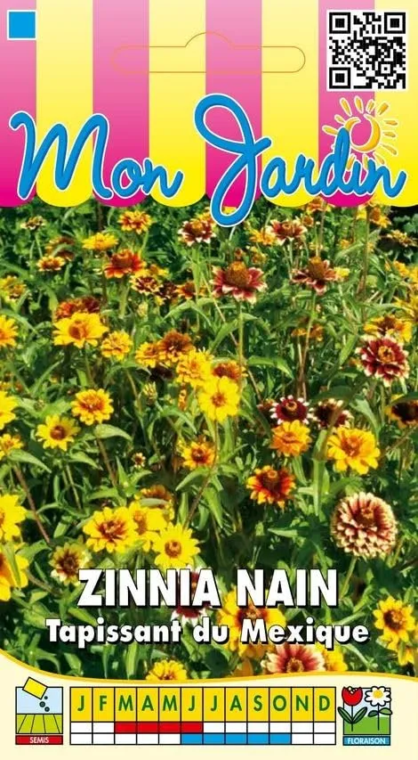 graines-bocquet-zinnia-nain-tapissant-du-mexique-graines-fleurs-2-g image 1
