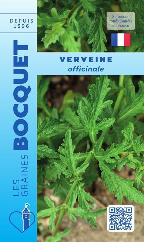 graines-bocquet-verveine-officinale-herbes-aromatiques-0-2-g-tisane image 1