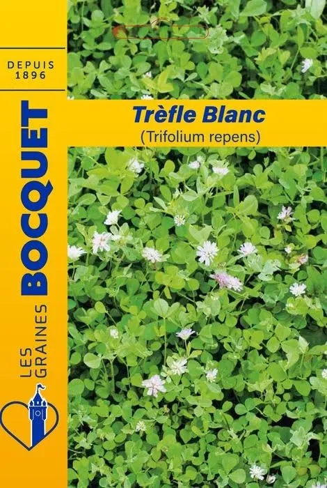 graines-bocquet-tr-fle-blanc-graines-de-fleurs-100-g-pour-40-m image 1