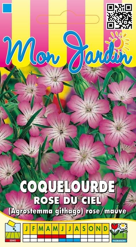 graines-bocquet-coquelourde-rose-du-ciel-fleurs-5-g-annuelle image 1