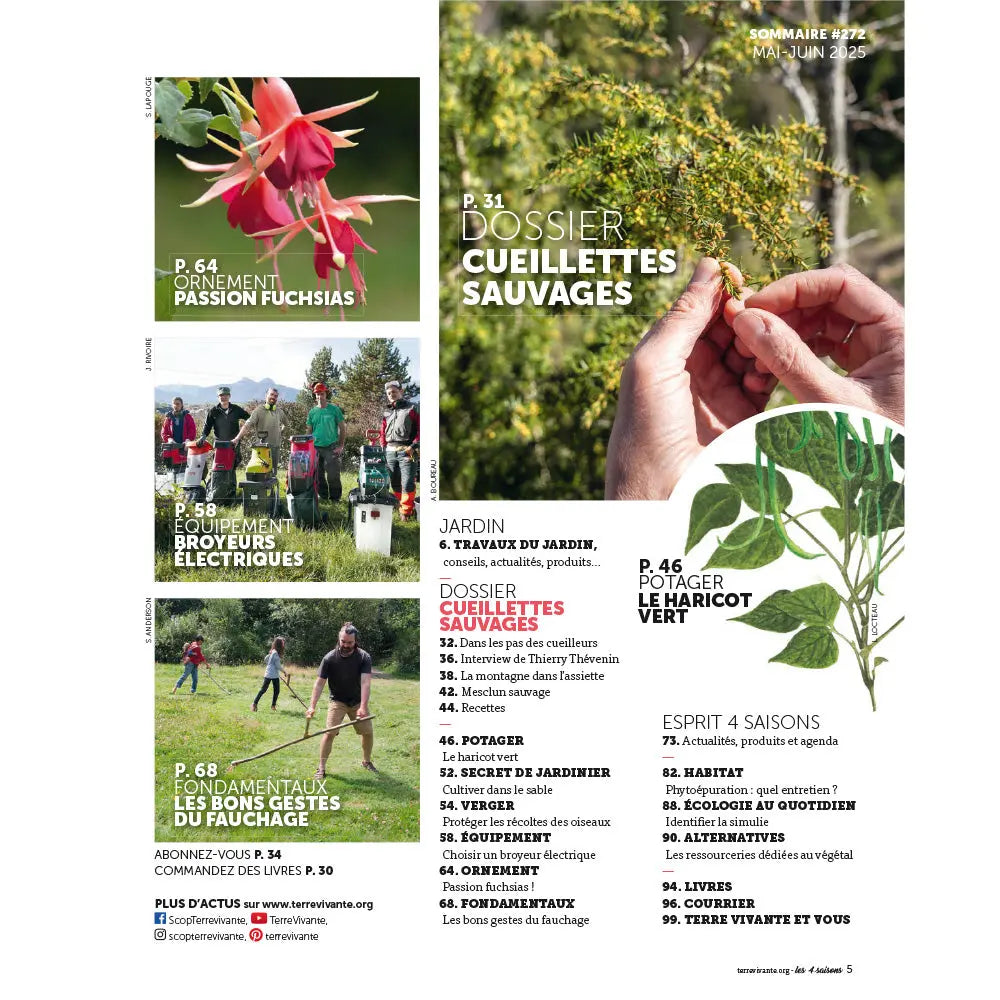 ferme-de-sainte-marthe-magazine-4-saisons-n272-cueillette-sauvage image 2