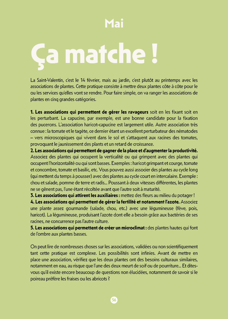 les-semences-de-l-ombelle-agenda-du-jardinier-bio-2026-carnet image 4