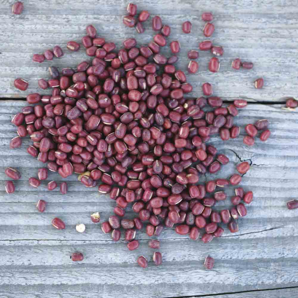 ferme-de-sainte-marthe-haricot-azuki-rouge-graines-bio-sachet image 1
