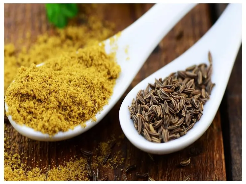 graines-bocquet-cumin-faux-anis-herbes-aromatiques-3g-potager image 1