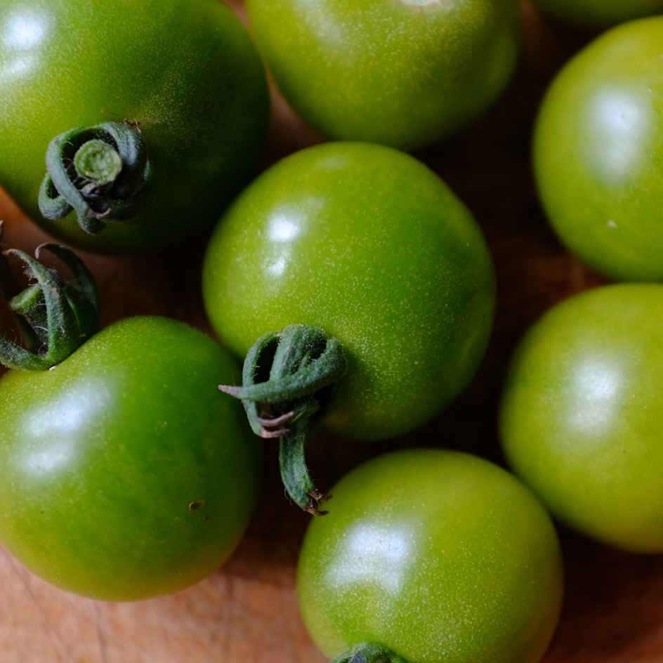 la-bo-te-graines-tomate-green-doctor-s-frosted-graines-bio-verte image 4