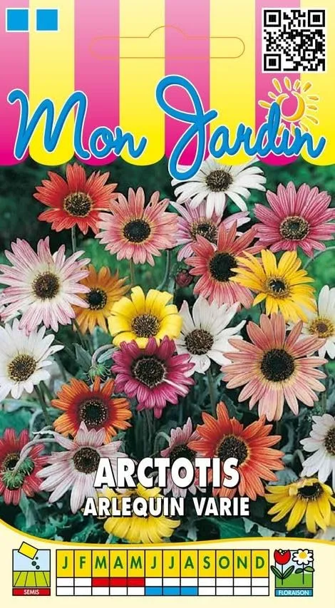 graines-bocquet-arctotis-arlequin-vari-graines-fleurs-0-3-g-soleil image 1