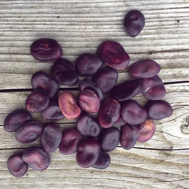 ferme-de-sainte-marthe-f-ve-grano-violetto-bio-extra-pr-coce image 1