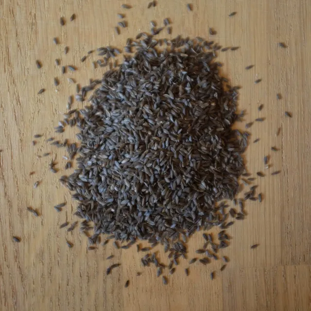 la-bo-te-graines-maca-graines-laitue-feuille-de-ch-ne-bio image 1
