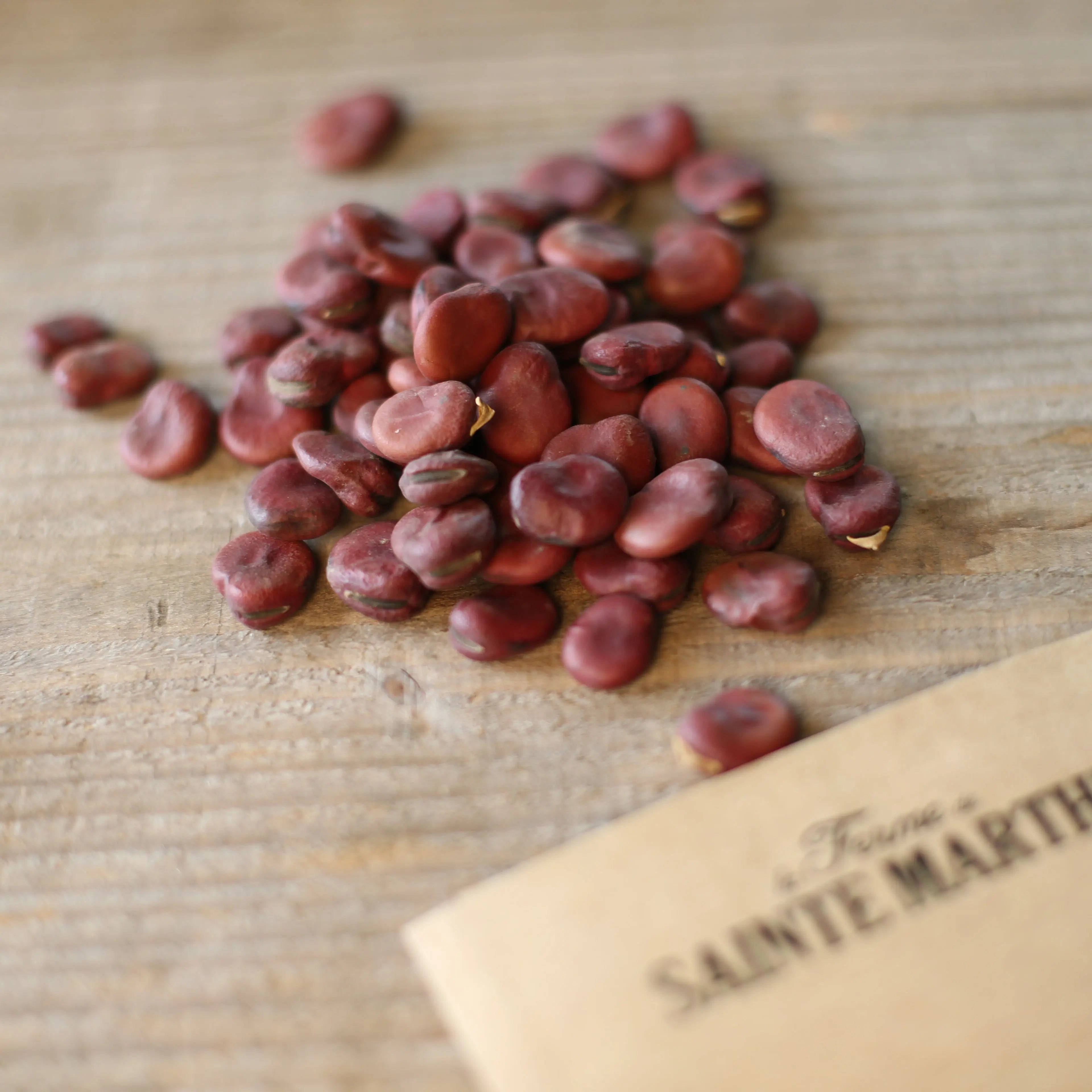 ferme-de-sainte-marthe-f-ve-karmazyn-graines-grains-roses image 2