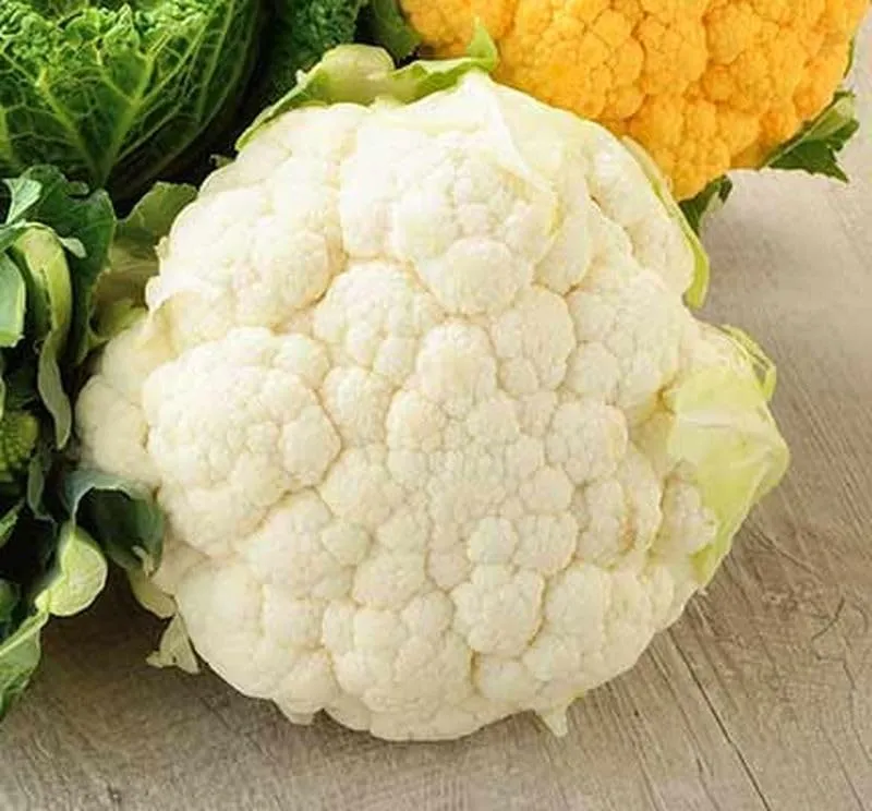 graines-bocquet-chou-fleur-boule-de-neige-graines-1-g-extra-h-tif image 1