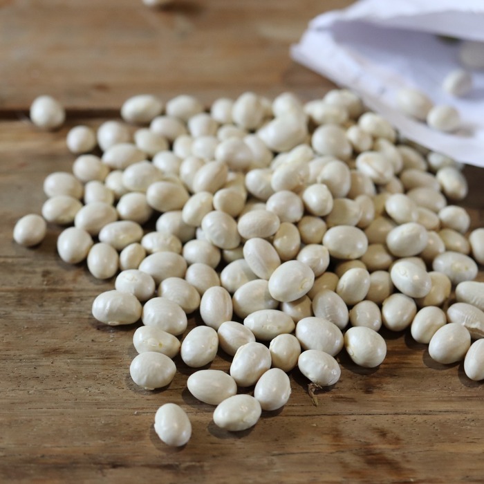 les-semences-de-l-ombelle-haricot-coco-de-cocagne-bio-graines image 1