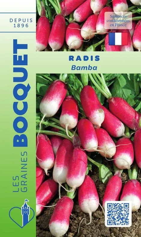 graines-bocquet-radis-bamba-graines-potag-res-10-g-non-hybride image 1