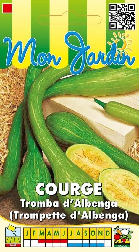 graines-bocquet-courge-tromba-d-albenga-graines-3-g-noisette image 1