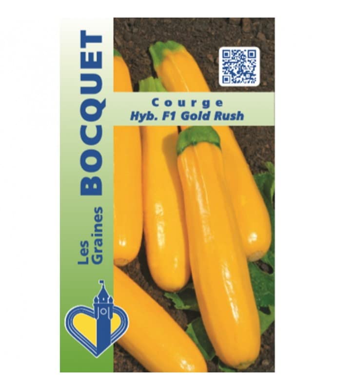 graines-bocquet-courge-gold-rush-f1-graines-potag-res-2-g image 1