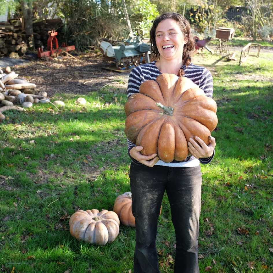 la-bo-te-graines-courge-musqu-e-de-provence-graines-bio image 5