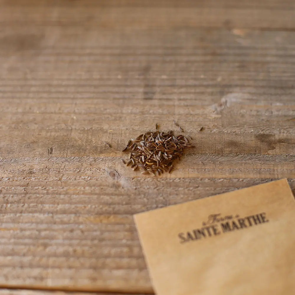 ferme-de-sainte-marthe-carvi-graines-aromatiques-bio-sachet image 2