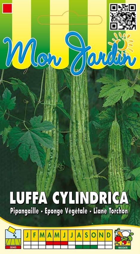 graines-bocquet-luffa-cylindrica-graines-ponge-v-g-tale-1-g image 1