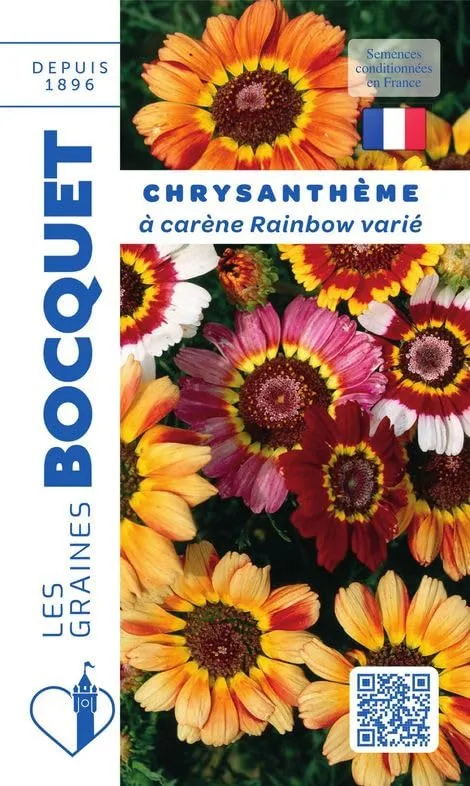 graines-bocquet-rainbow-graines-de-chrysanth-me-car-ne-2-g image 1