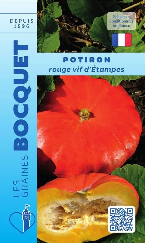 graines-bocquet-potiron-rouge-vif-d-etampes-7-g image 1