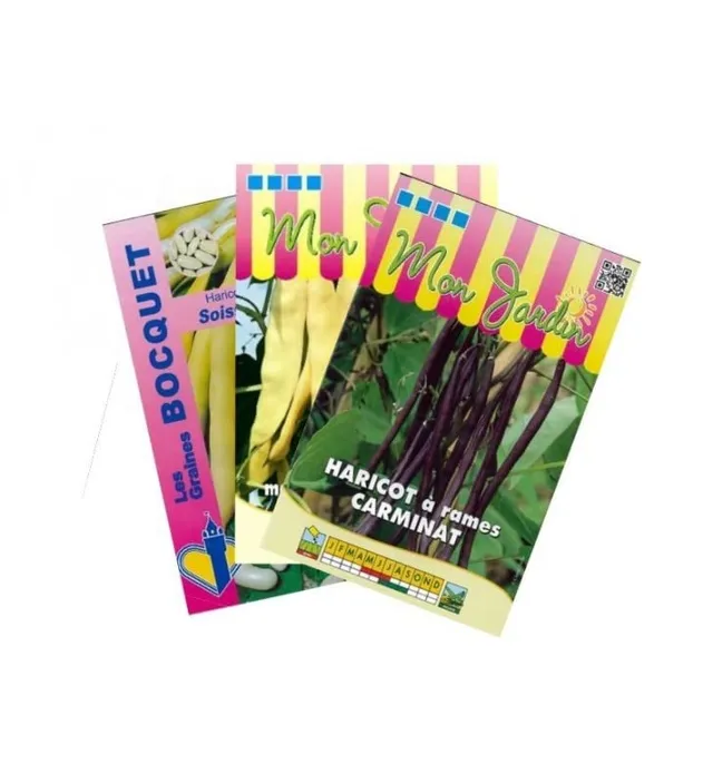 graines-bocquet-haricots-color-s-graines-haricot-rames-lot-270-g image 1