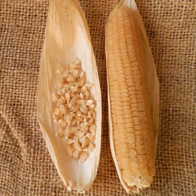 la-bo-te-graines-graines-l-gumes-ma-s-stowell-evergreen-bio-sucr image 1