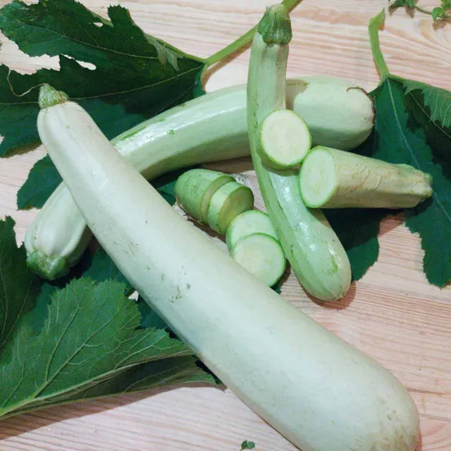 la-bo-te-graines-graines-l-gumes-courgette-lebanese-white-bush-bio image 1