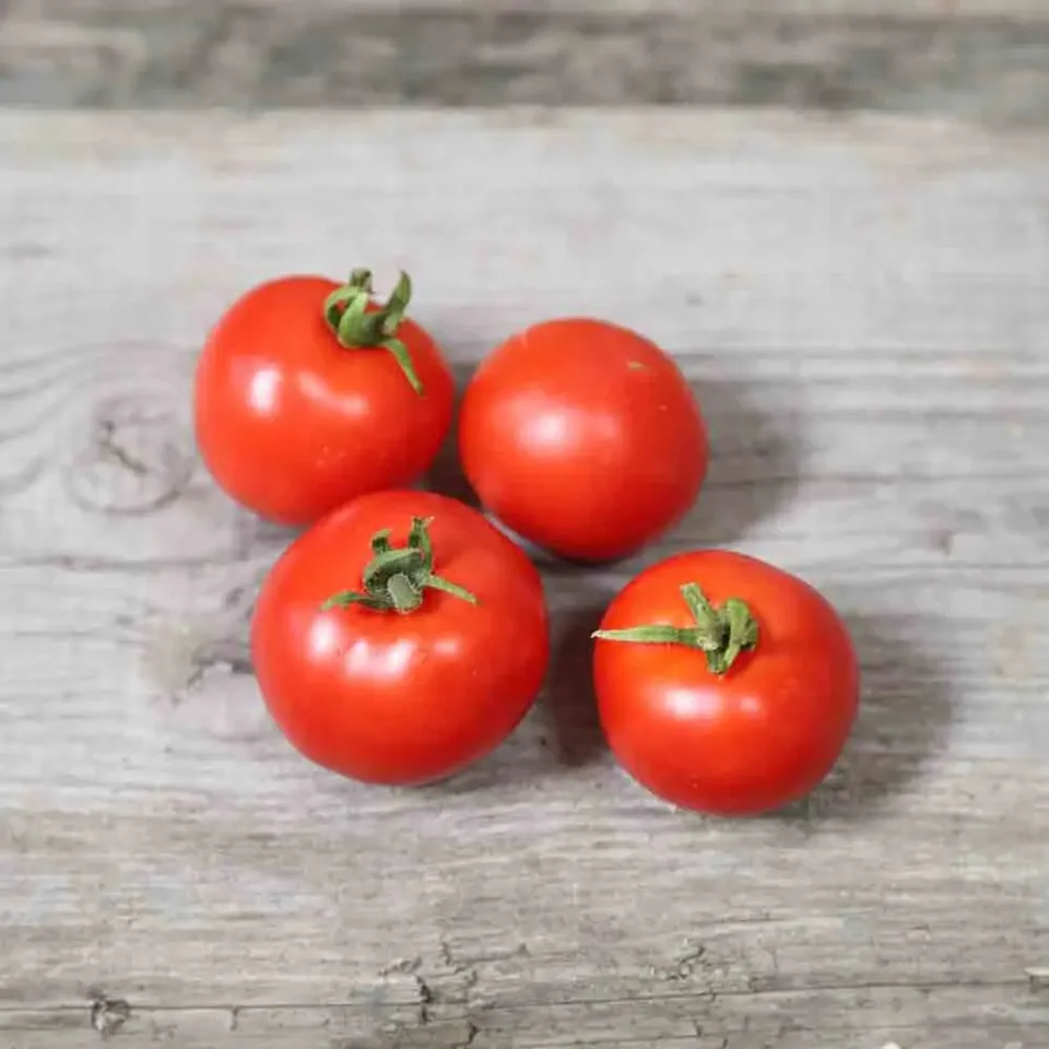 ferme-de-sainte-marthe-maja-tomate-naine-balcon-bio image 1