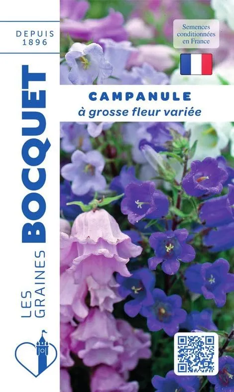 graines-bocquet-campanule-grosse-fleur-graines-fleurs-0-5-g-vari-e image 1