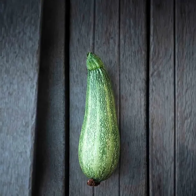 ferme-de-sainte-marthe-courgette-caserta-ab-graines-bio-productives image 1