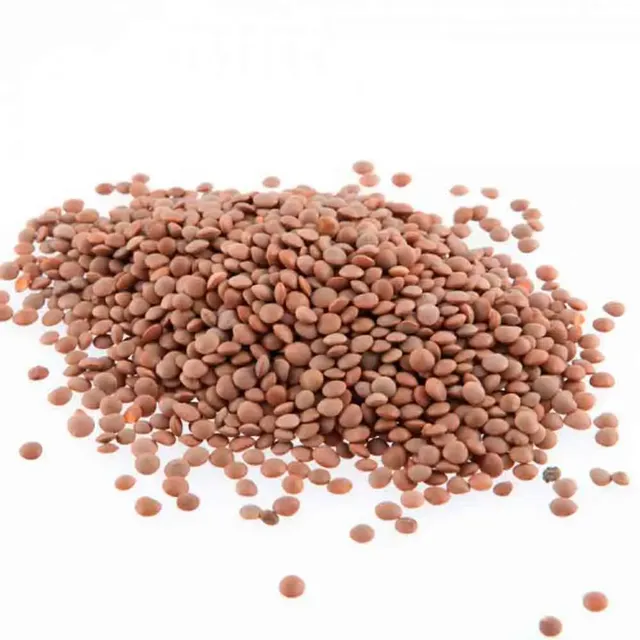 ferme-de-sainte-marthe-lentille-commune-blonde-graines-bio-sachet image 1