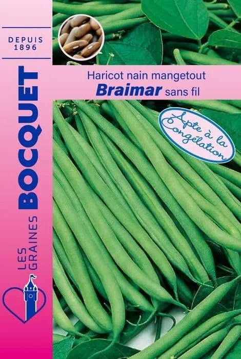 graines-bocquet-haricot-nain-filet-braimar-potag-res-80-g image 1