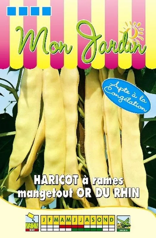 graines-bocquet-haricot-rames-or-du-rhin-graines-100-g-sans-fil image 1