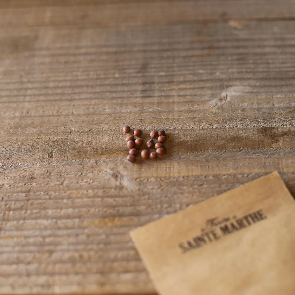 ferme-de-sainte-marthe-petit-proven-al-graines-pois-nain-cosser image 2