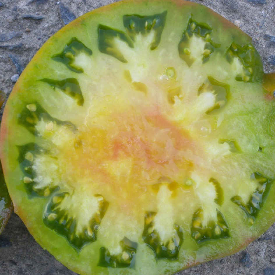 la-bo-te-graines-tomate-ananas-bio-graines-potag-res-tardive image 3