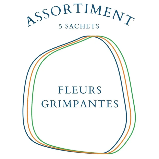 la-bo-te-graines-assortiment-fleurs-grimpantes-5-sachets-bio image 1