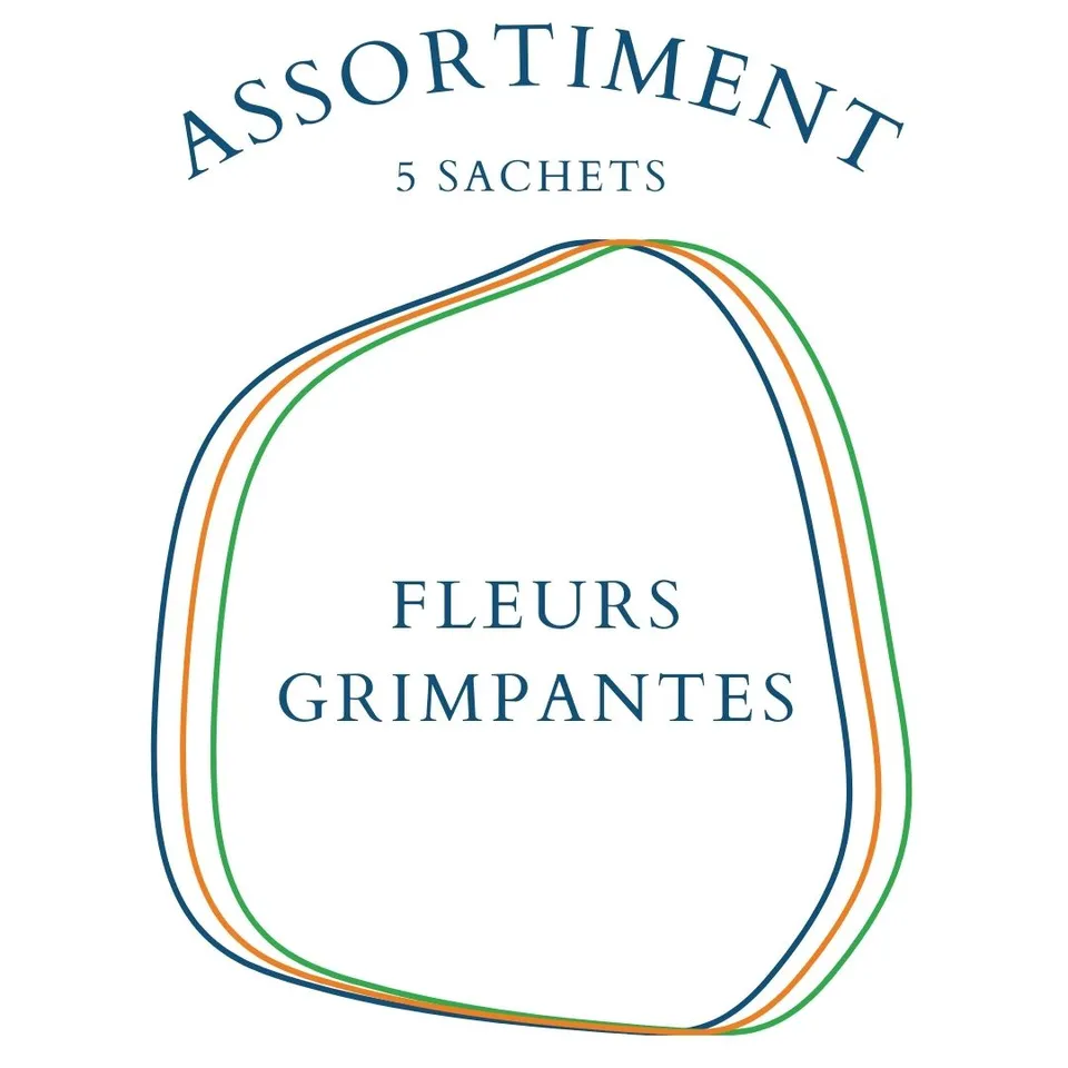 la-bo-te-graines-assortiment-fleurs-grimpantes-5-sachets-bio image 1