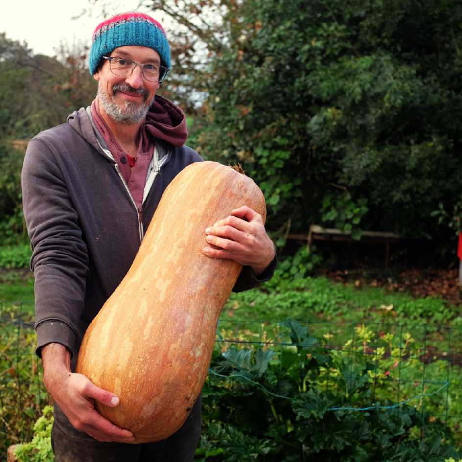 la-bo-te-graines-bambina-gigante-graines-courge-bio-g-ante image 1