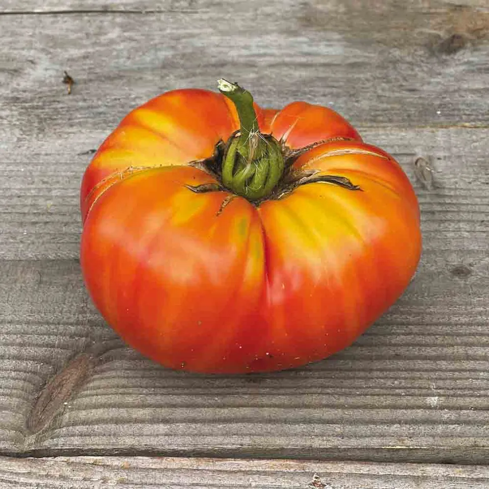 ferme-de-sainte-marthe-striped-german-graines-tomate-ananas-bio image 1