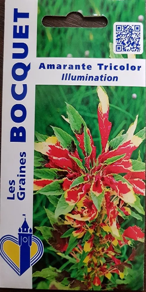 graines-bocquet-amarante-tricolor-illumination-graines-0-5-g image 1