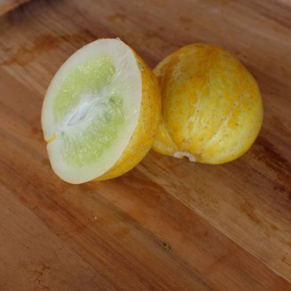 la-bo-te-graines-concombre-lemon-graines-bio-jaune image 4