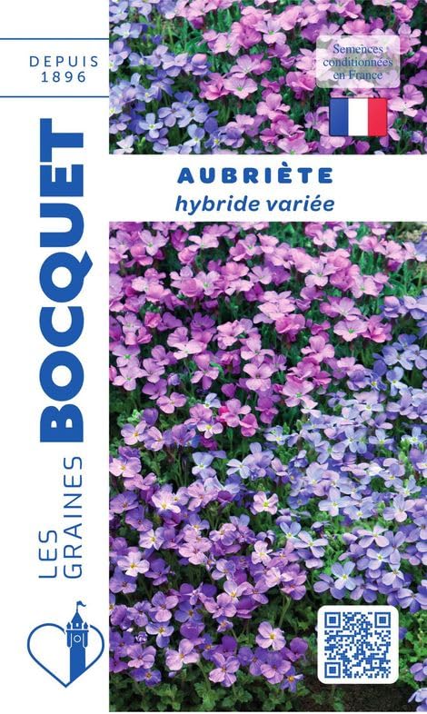 graines-bocquet-aubri-tia-purpurea-graines-fleurs-0-3-g-vivace image 1