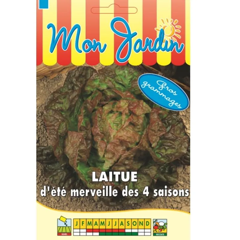 graines-bocquet-laitue-merveille-4-saisons-graines-12-g image 1