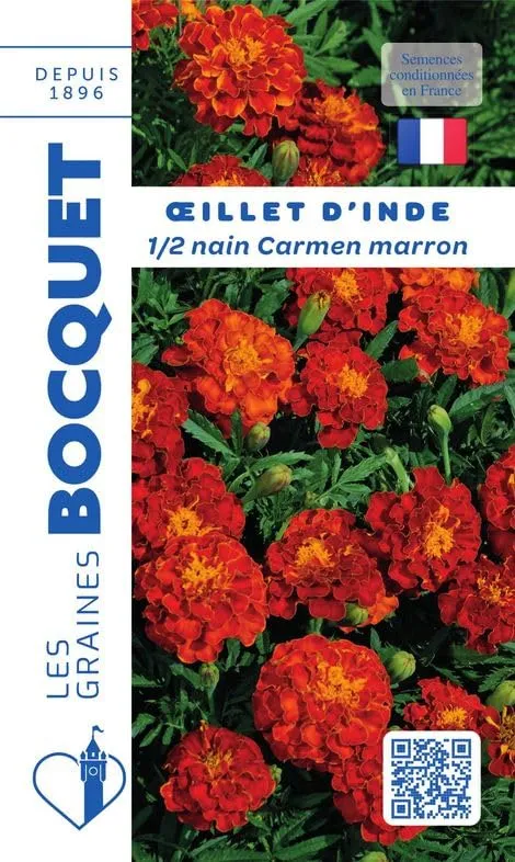 graines-bocquet-fleurs-oeillet-d-inde-demi-nain-marron-graines-1-2-g image 1