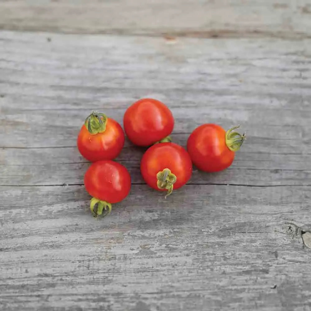 ferme-de-sainte-marthe-tomate-cerise-graines-bio-sachet-pr-coce image 1