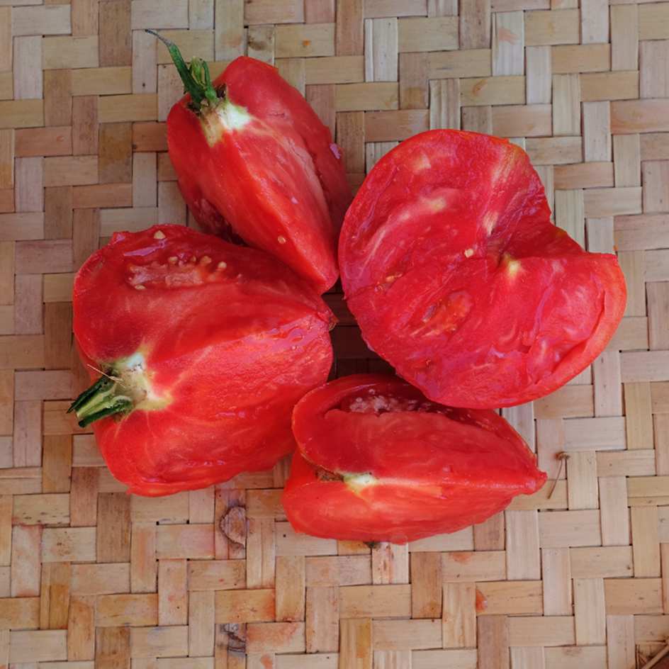 la-bo-te-graines-graines-l-gumes-tomate-russe-bio-charnue image 2