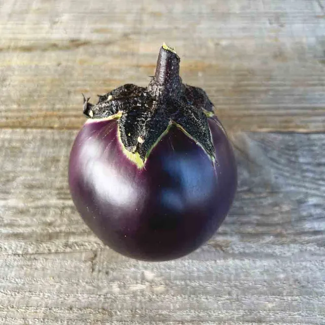 ferme-de-sainte-marthe-ronde-de-valence-graines-aubergine-bio-sachet image 1