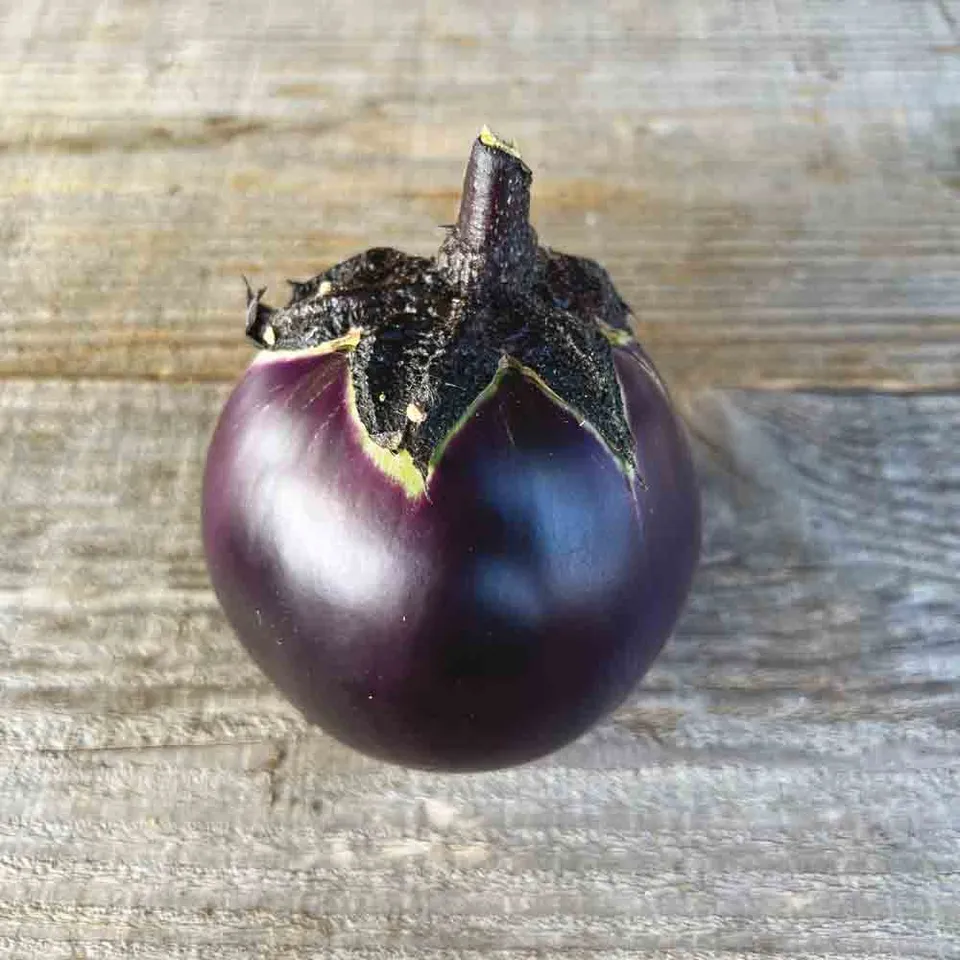 ferme-de-sainte-marthe-ronde-de-valence-graines-aubergine-bio-sachet image 1