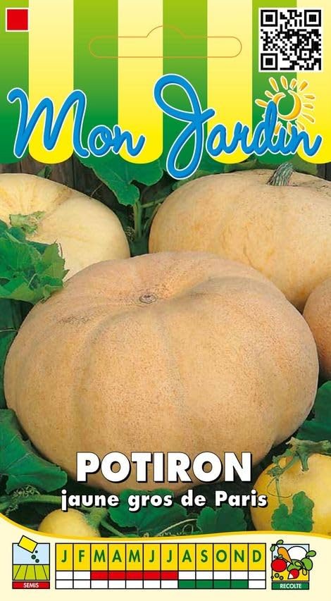 graines-bocquet-potiron-jaune-gros-de-paris-graines-potag-res-7-g image 1