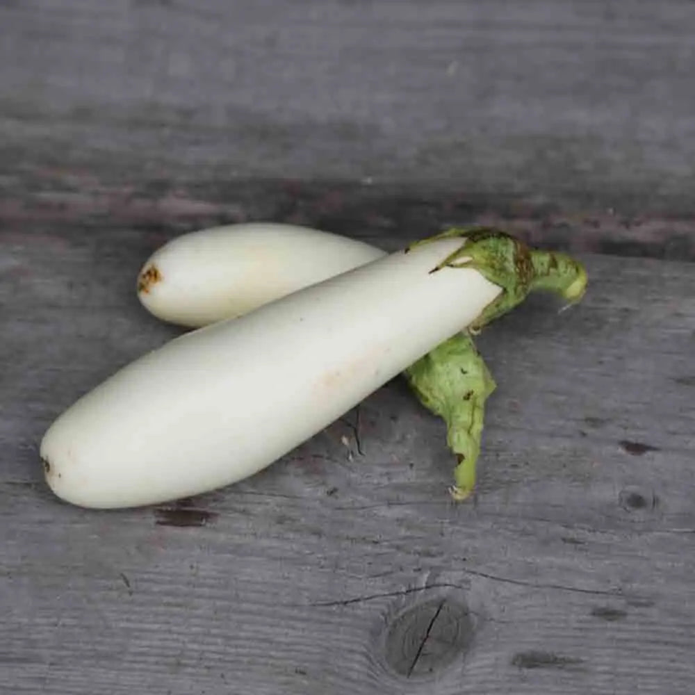 ferme-de-sainte-marthe-aubergine-longue-blanche-ab-graines-bio image 1