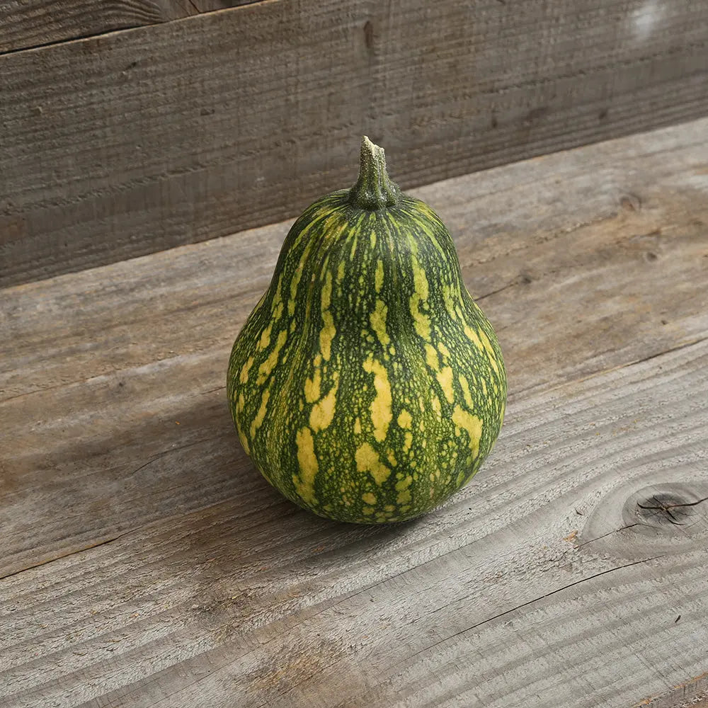 ferme-de-sainte-marthe-courge-ayote-chair-verte-guatemala-ab-graines-bio image 1